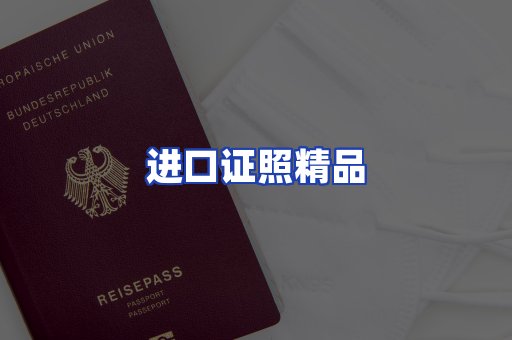 进口证件页面制证